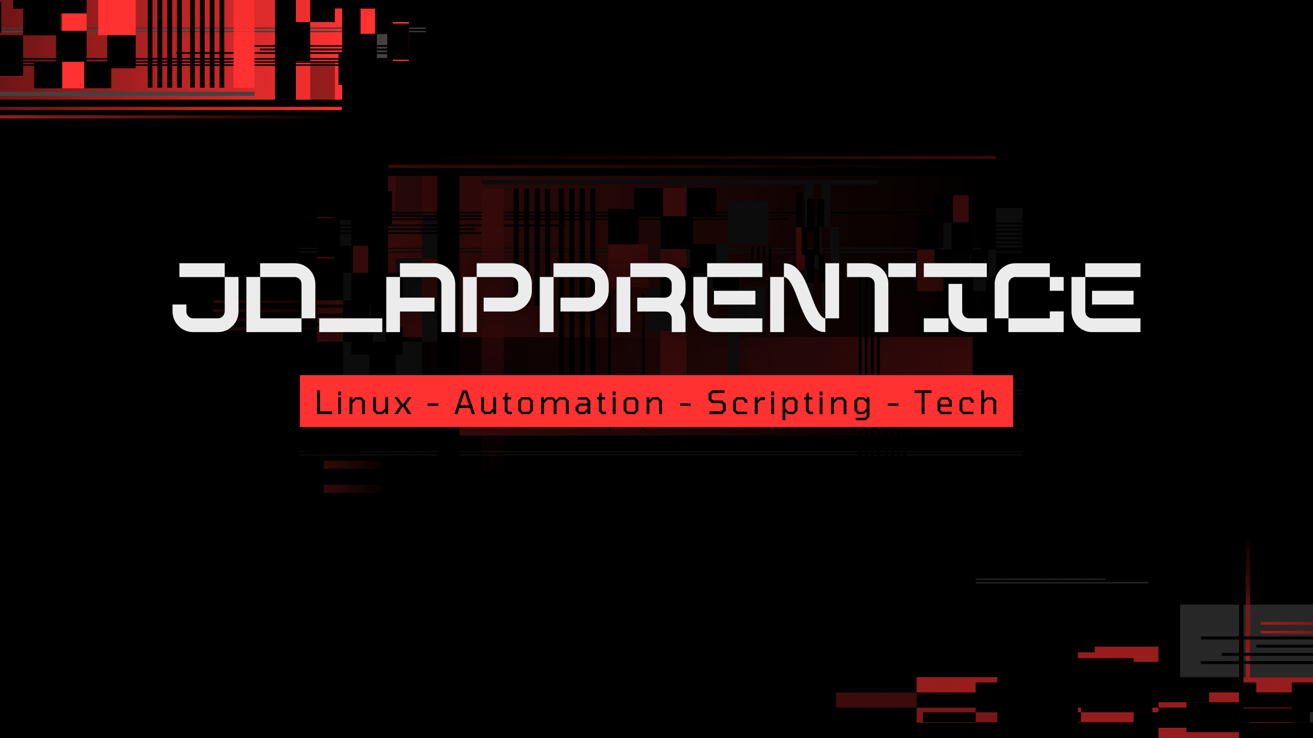 My 2024: homelabs, pentesting, networking and more